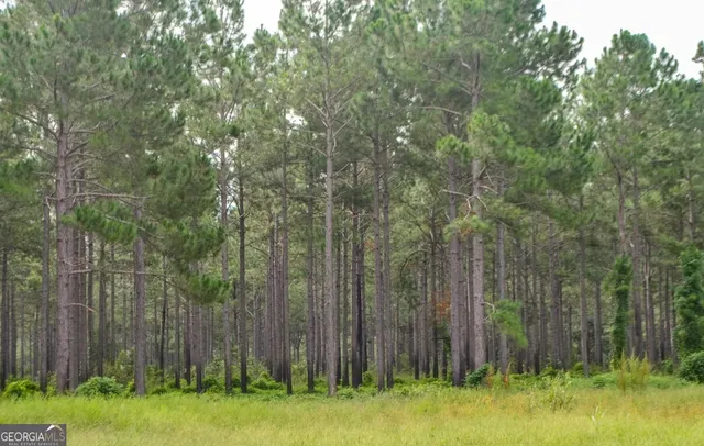 a view of a yard with large trees