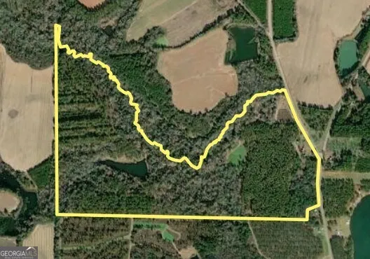 an aerial view of a yard with plants