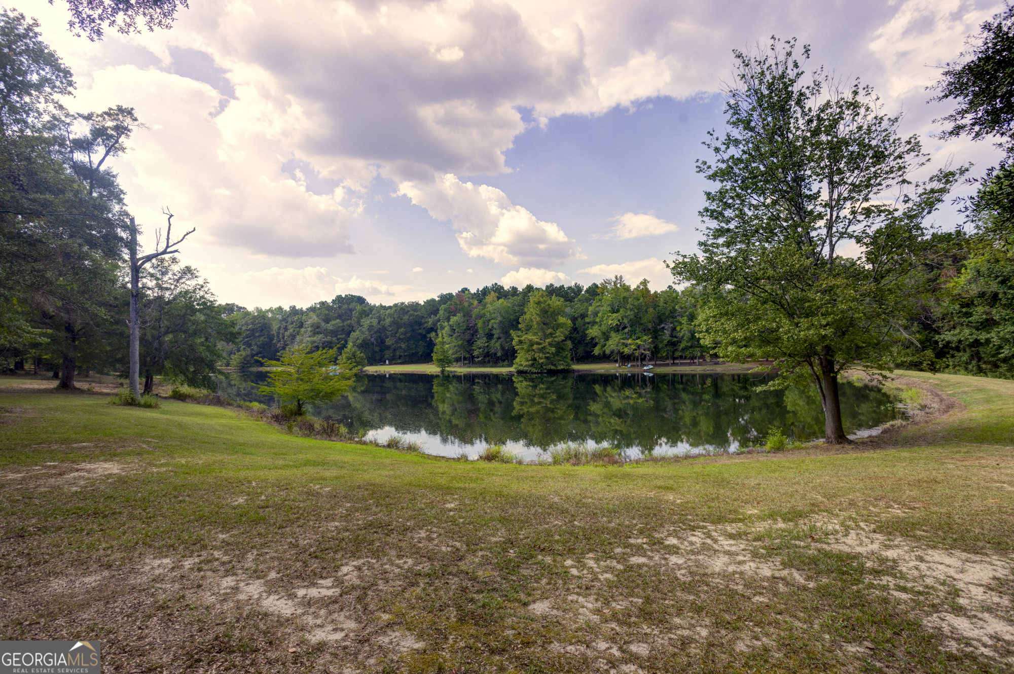 31 Highway 41 Morgan, GA 39866 - Photo 8 of 15