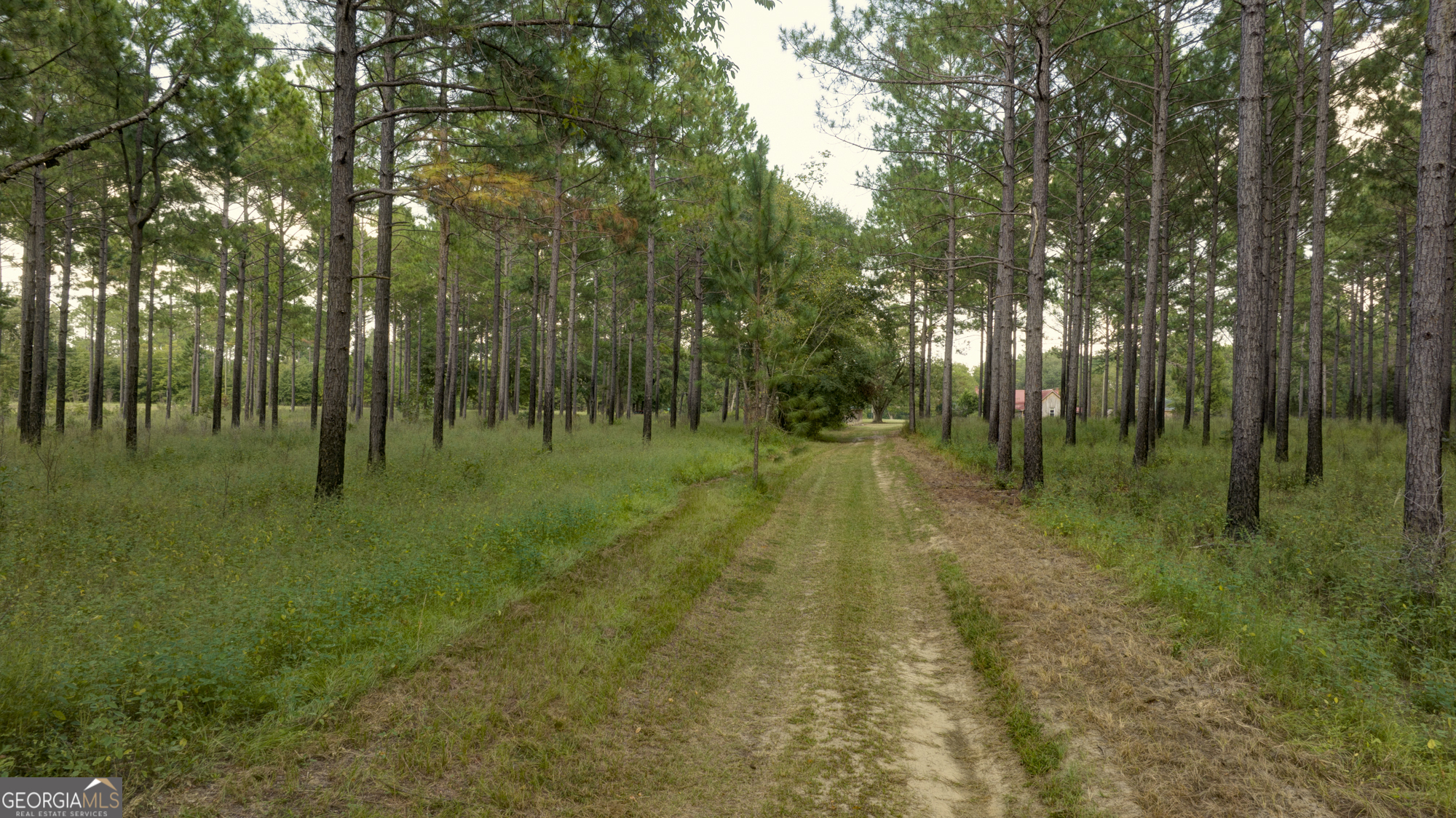 31 Highway 41 Morgan, GA 39866 - Photo 10 of 15