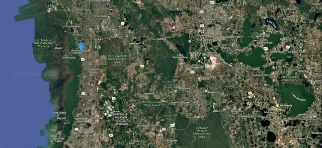 $61,999 | 7689 West Briarpatch Street, Homosassa, FL 34446