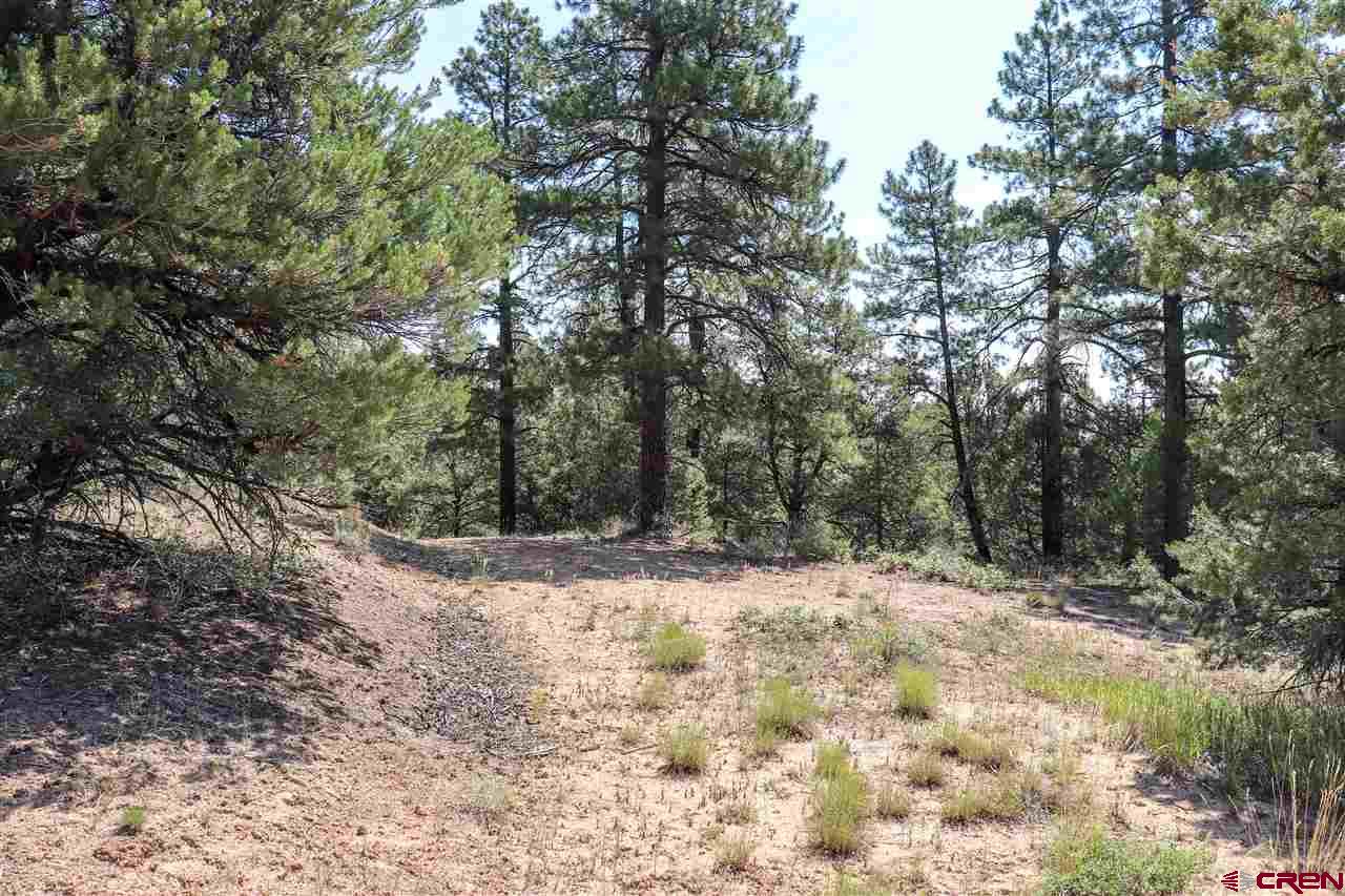 225 Oak Road Durango, CO 81303 - Photo 2 of 17