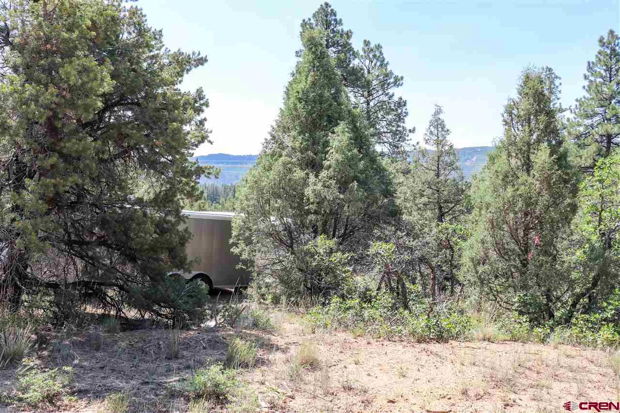 225 Oak Road Durango, CO 81303 - Photo 11 of 17