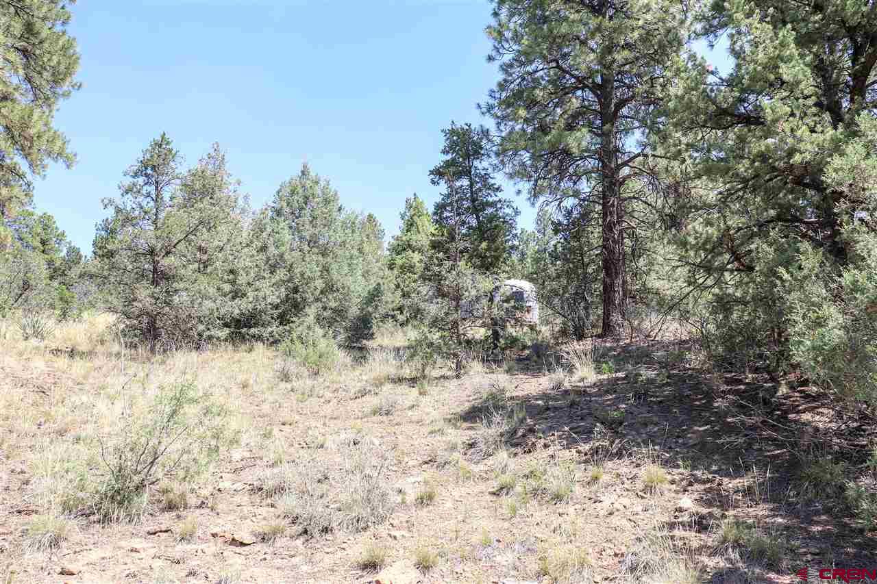 225 Oak Road Durango, CO 81303 - Photo 12 of 17