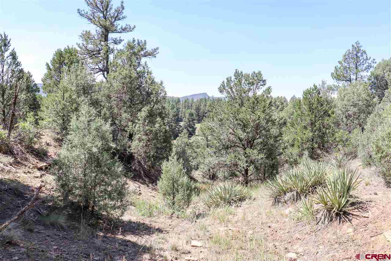 225 Oak Road Durango, CO 81303 - Photo 13 of 17