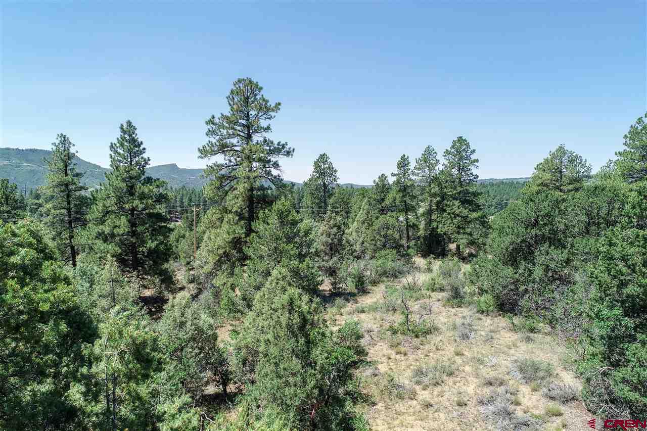 225 Oak Road Durango, CO 81303 - Photo 3 of 17