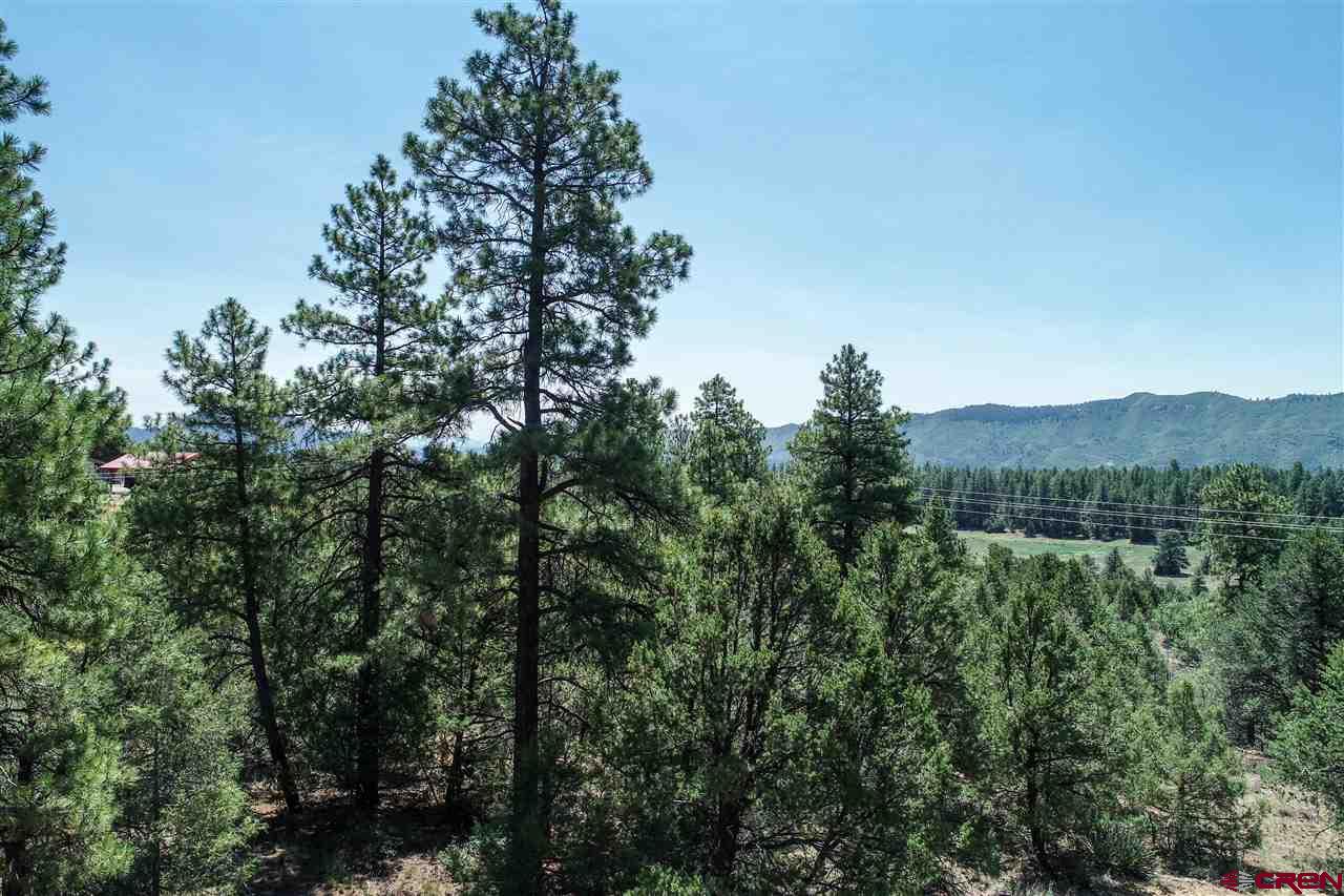 225 Oak Road Durango, CO 81303 - Photo 4 of 17