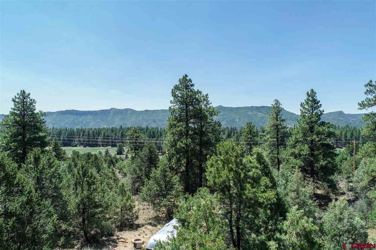 225 Oak Road Durango, CO 81303 - Photo 5 of 17