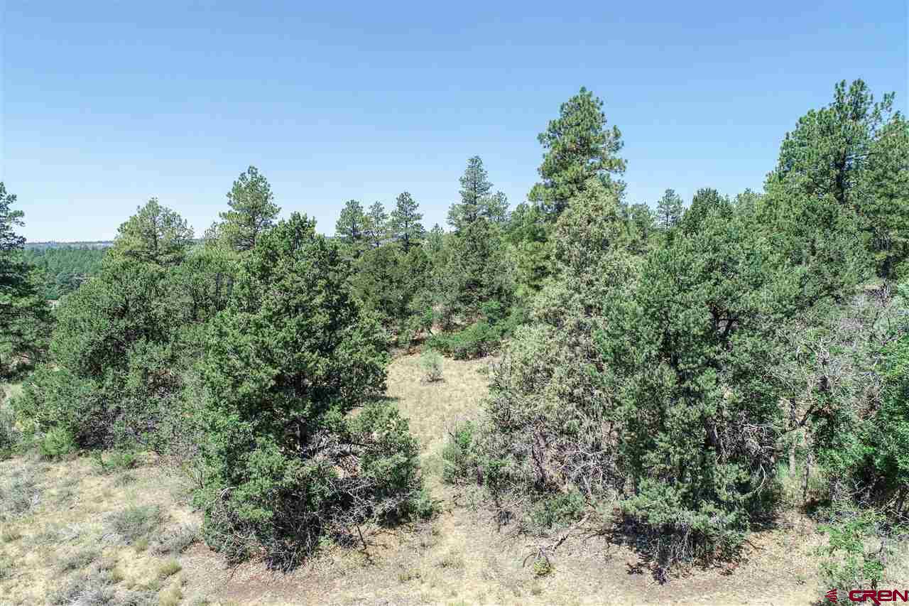 225 Oak Road Durango, CO 81303 - Photo 6 of 17