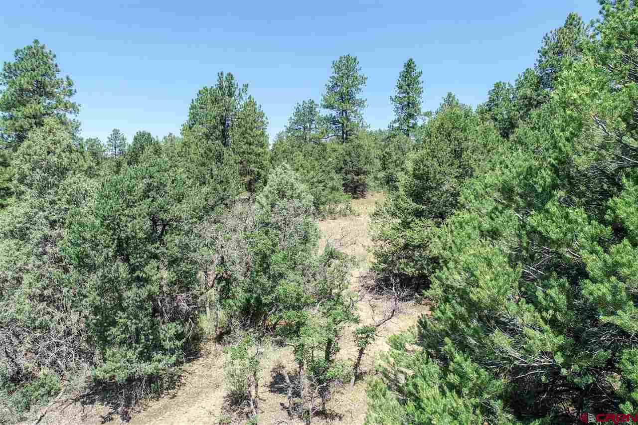 225 Oak Road Durango, CO 81303 - Photo 7 of 17
