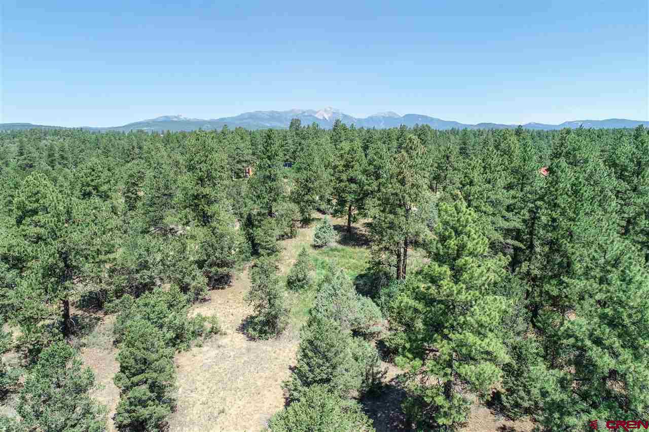 225 Oak Road Durango, CO 81303 - Photo 8 of 17