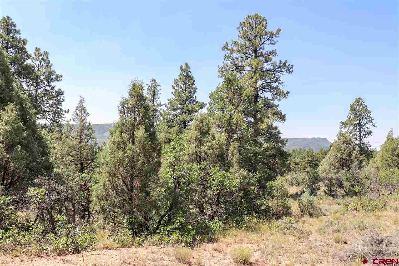 225 Oak Road Durango, CO 81303 - Photo 9 of 17