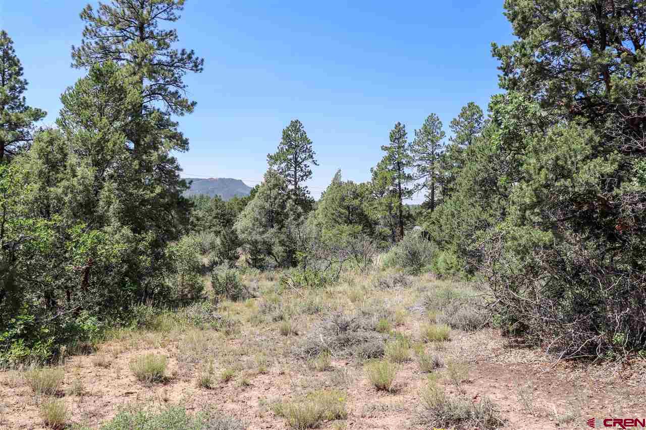 225 Oak Road Durango, CO 81303 - Photo 10 of 17