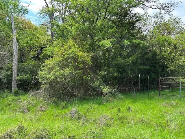 $75,000 | 0 Hickory Loop, Thornton, TX 76687