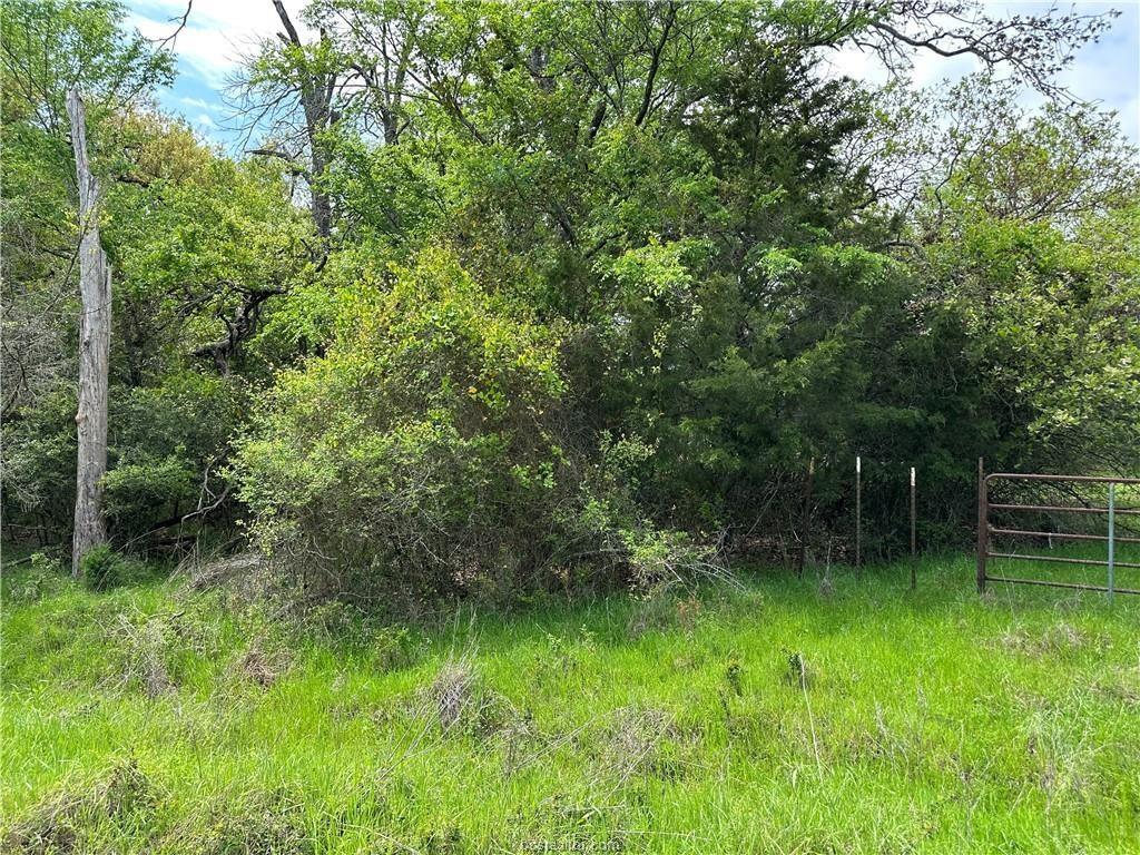 0 Hickory Loop Thornton, TX 76687 - Photo 2 of 8 View of undeveloped land