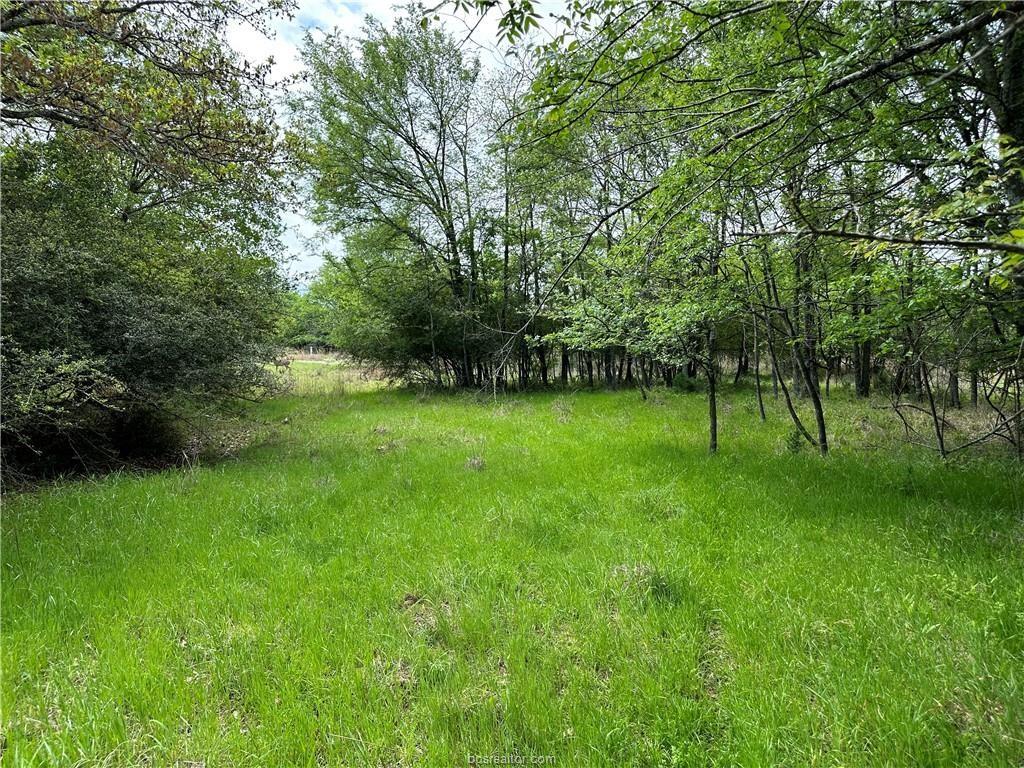 0 Hickory Loop Thornton, TX 76687 - Photo 3 of 8 View of yard