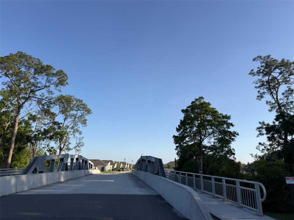 3120 Goose Road Davenport, FL 33837 - Photo 33 of 34