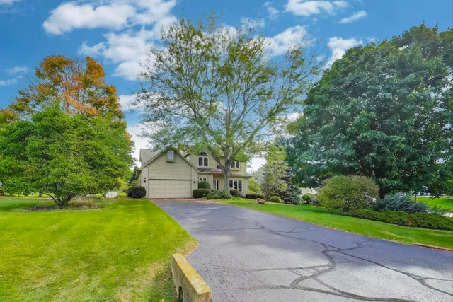 a view of a backyard with large trees