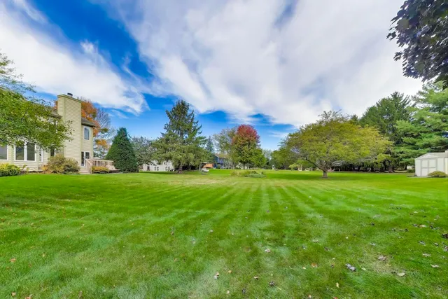 a view of a field of grass and trees