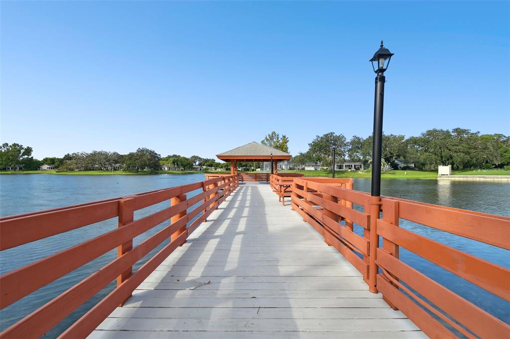 11317 Versailles Lane, Unit 5 Port Richey, FL 34668 - Photo 54 of 74