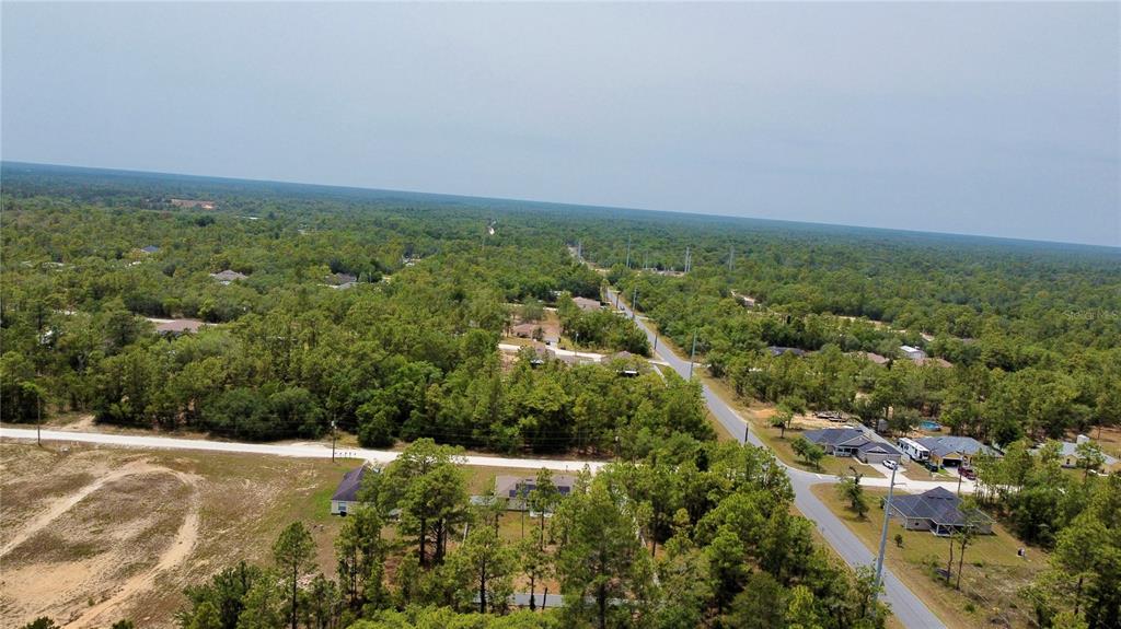 13486 English Sparrow Road Weeki Wachee, FL 34614 - Photo 50 of 51 an aerial view of residential houses with outdoor space and trees