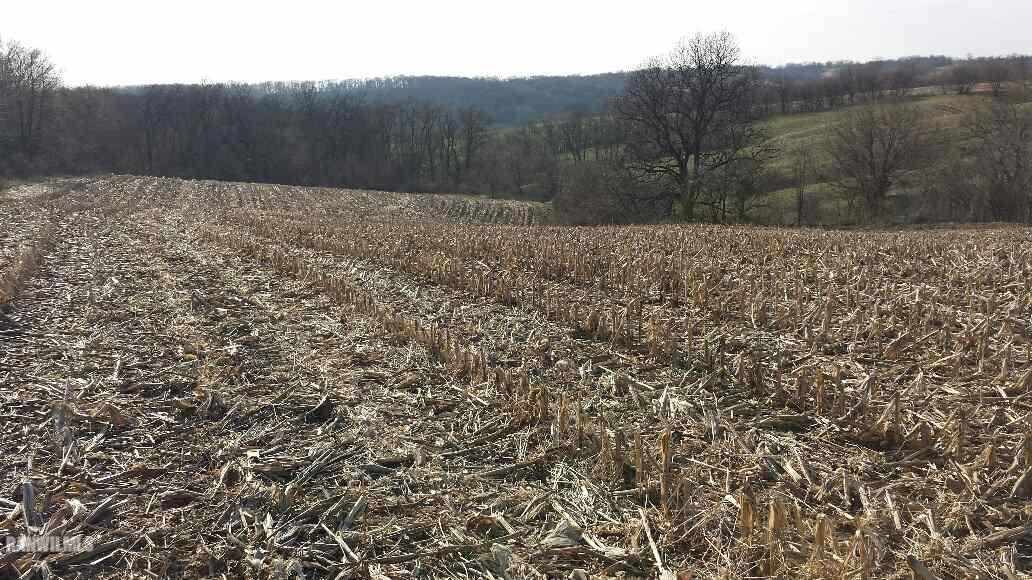 12952 West Point Road Mount Carroll, IL 61053 - Photo 11 of 15 Gallery Image 11