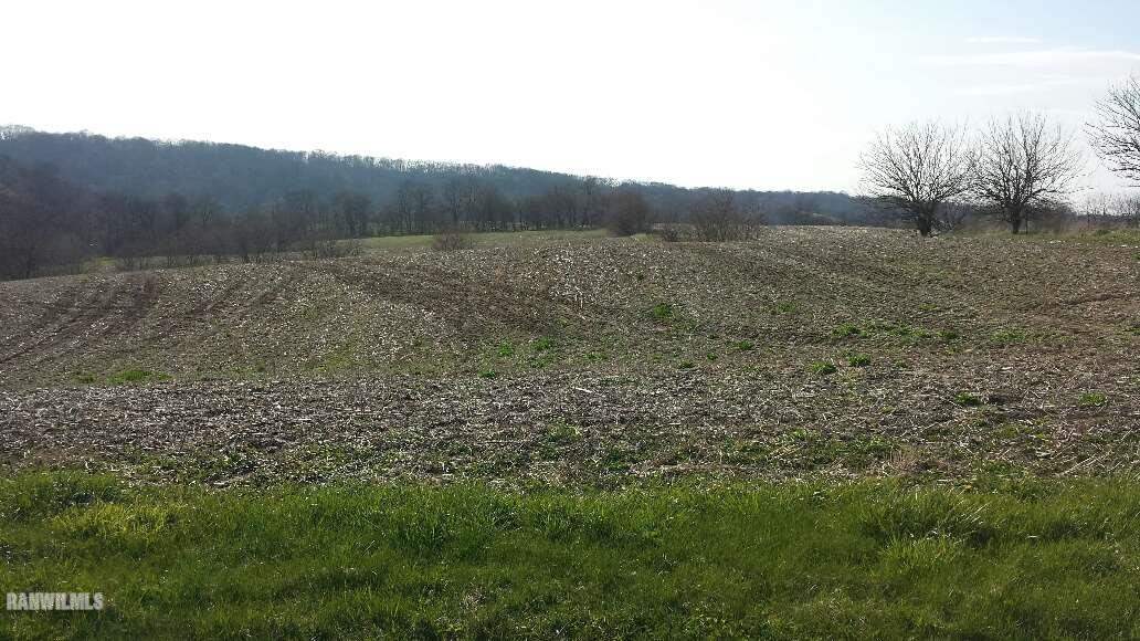 12952 West Point Road Mount Carroll, IL 61053 - Photo 12 of 15 Gallery Image 12