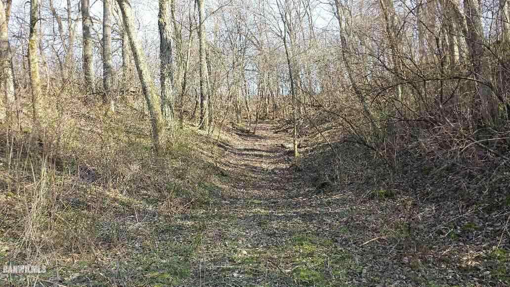 12952 West Point Road Mount Carroll, IL 61053 - Photo 14 of 15 Gallery Image 14