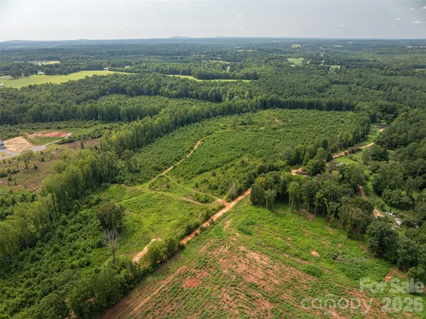 a view of a city with lush green forest