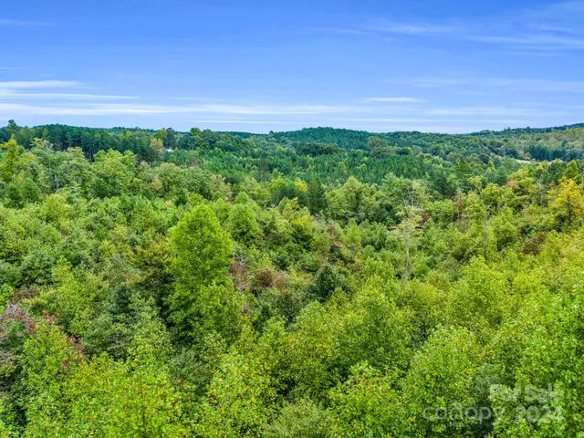 $199,000 | 0 Padgett Road, Union Mills, NC 28167