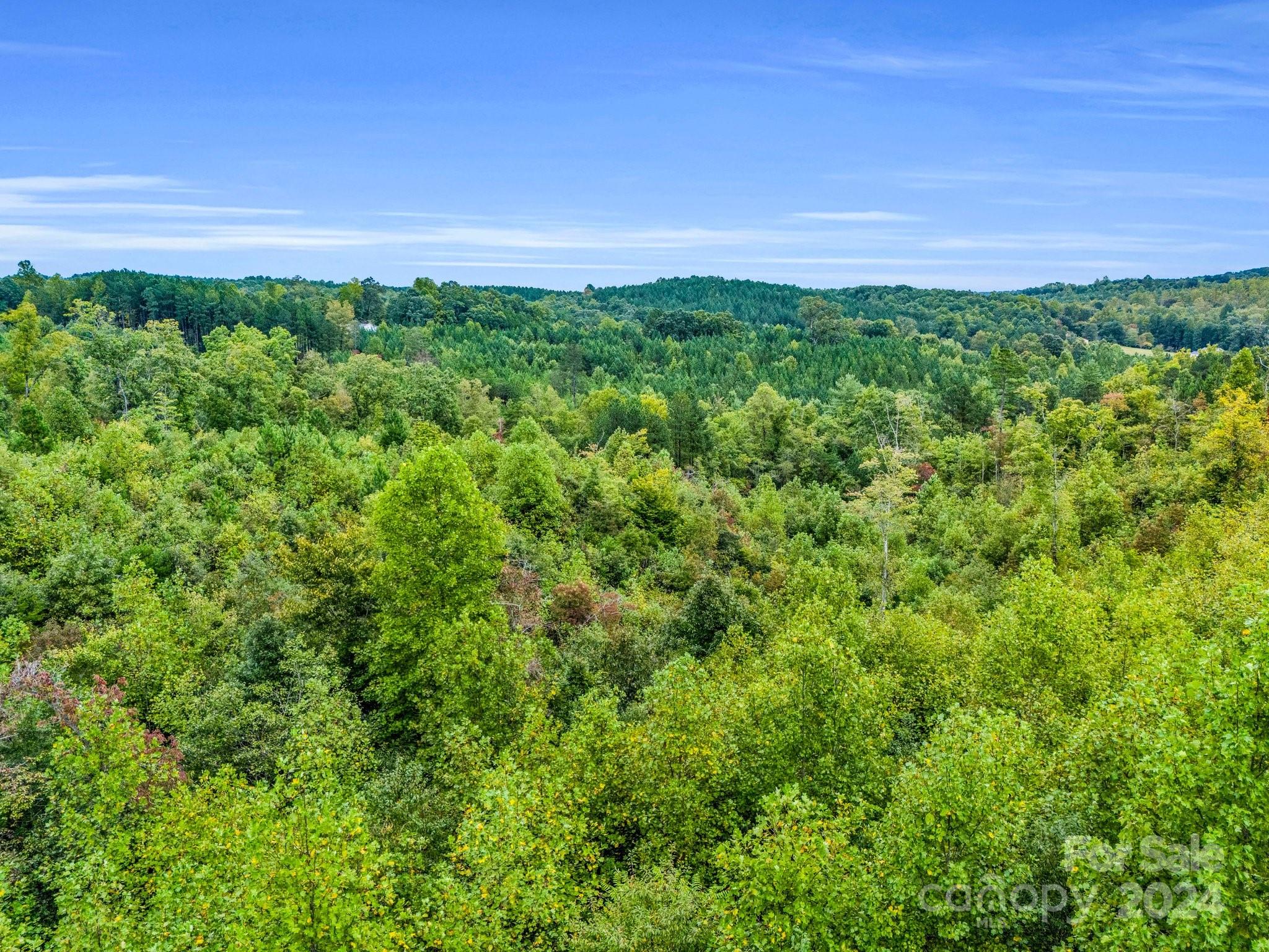 0 Padgett Road Union Mills, NC 28167 - Photo 11 of 20 a view of a field of grass and trees