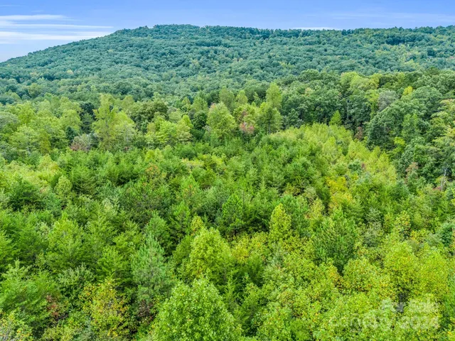 $199,000 | 0 Padgett Road, Union Mills, NC 28167