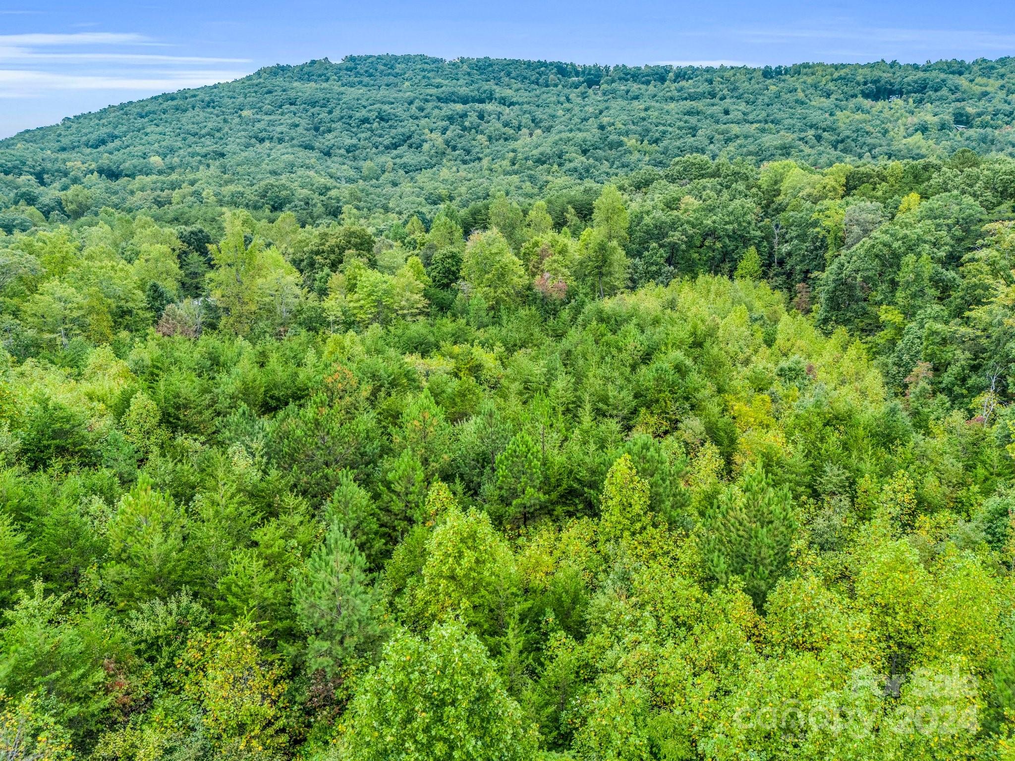 0 Padgett Road Union Mills, NC 28167 - Photo 12 of 20 a view of a lush green space