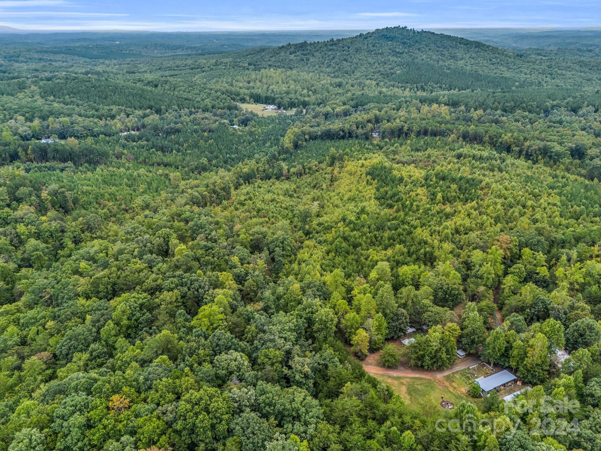 0 Padgett Road Union Mills, NC 28167 - Photo 15 of 20 a view of a lush green forest with trees and grass