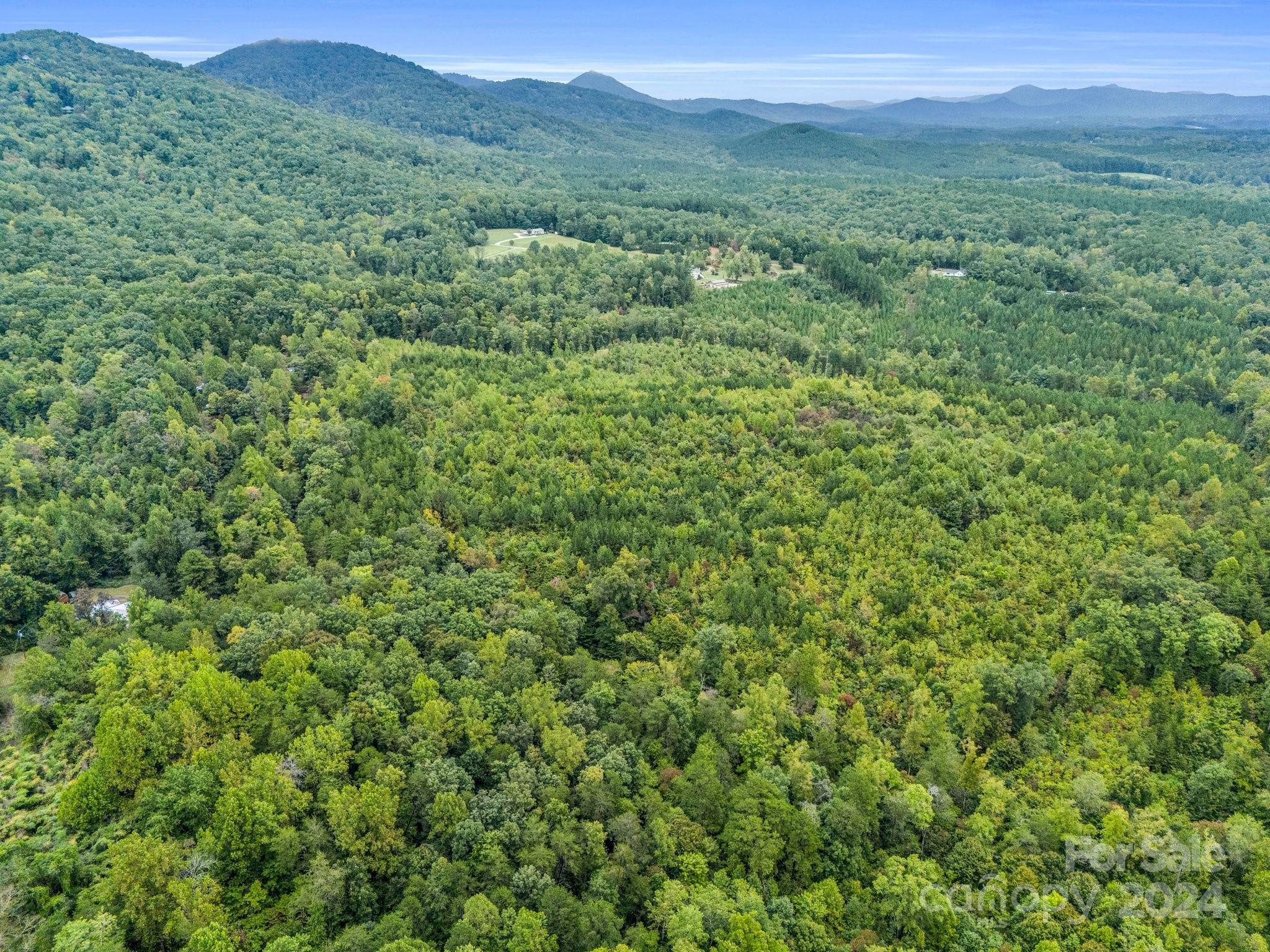 0 Padgett Road Union Mills, NC 28167 - Photo 17 of 20 a view of a lush green forest with lush green forest