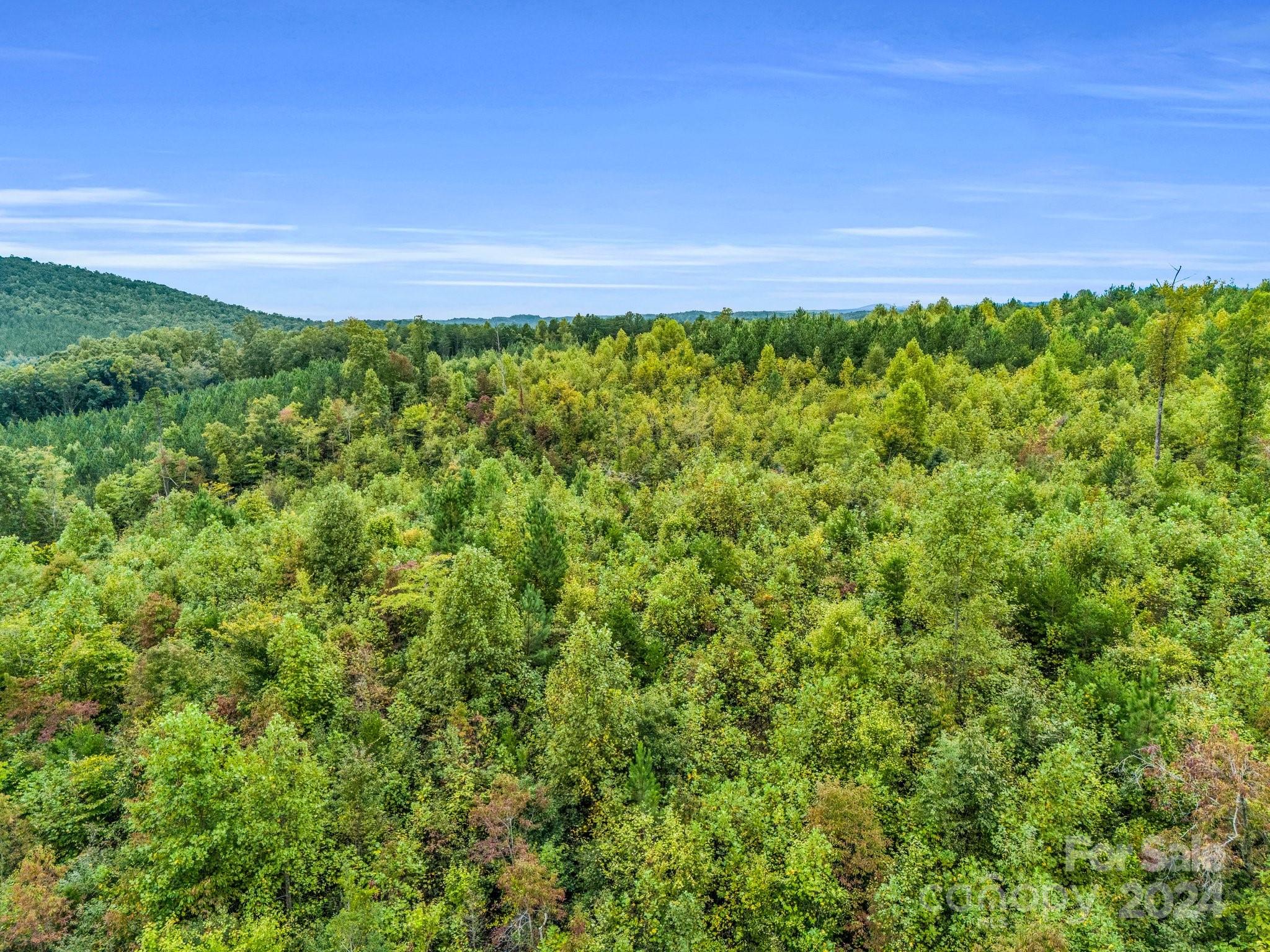 0 Padgett Road Union Mills, NC 28167 - Photo 20 of 20 a view of a green field with lots of bushes