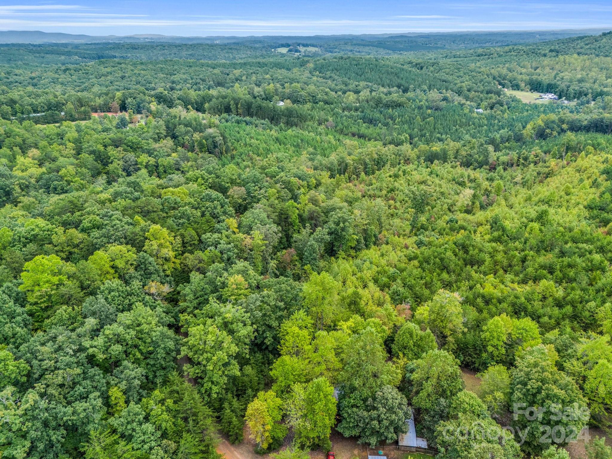 0 Padgett Road Union Mills, NC 28167 - Photo 4 of 20 a view of a green field with lots of bushes