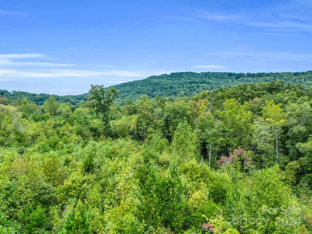 $199,000 | 0 Padgett Road, Union Mills, NC 28167