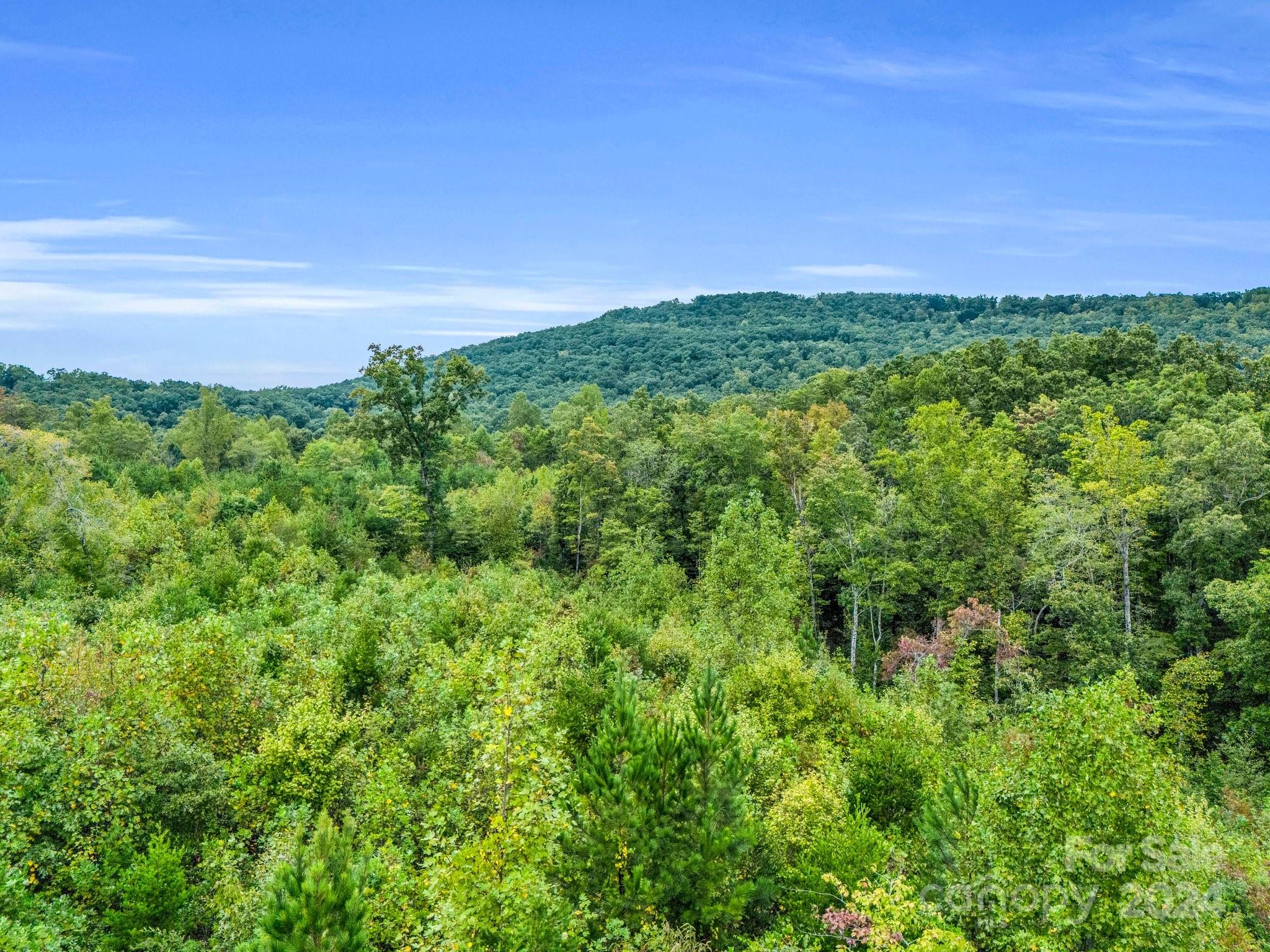 0 Padgett Road Union Mills, NC 28167 - Photo 9 of 20 a view of a green field with a tree in the background
