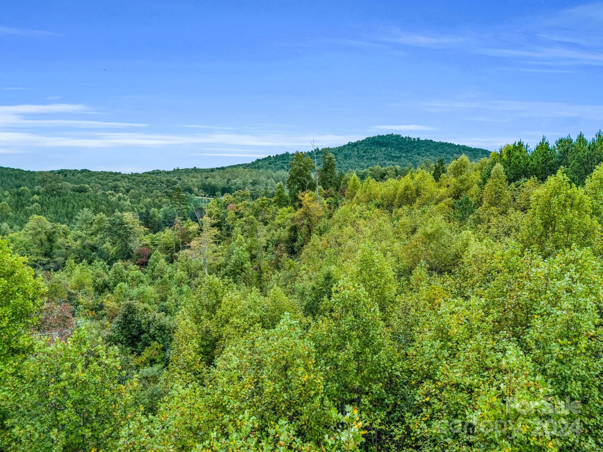 0 Padgett Road Union Mills, NC 28167 - Photo 10 of 20 a view of a field with plants and trees