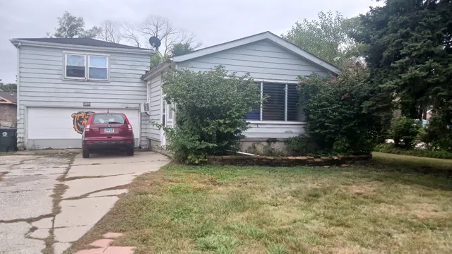 a view of a house with a yard plants and large tree
