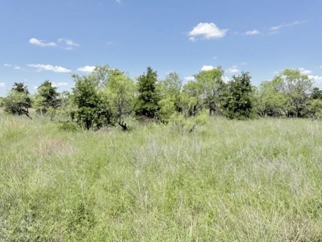 0 Ambruss Jones Road Bellevue, TX 76228 - Photo 2 of 12