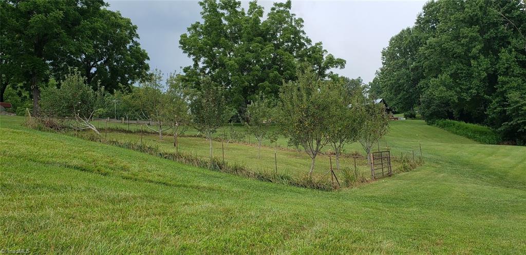 44 Nelson Loop Spencer, VA 24165 - Photo 38 of 50 Orchard