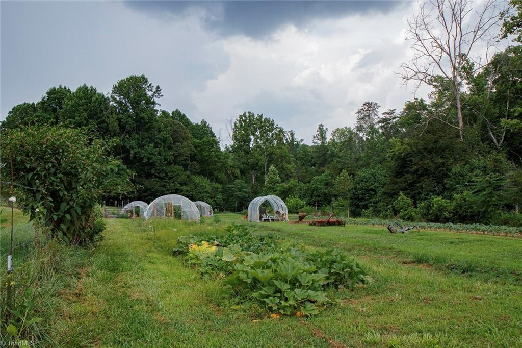 44 Nelson Loop Spencer, VA 24165 - Photo 42 of 50 Fertile soil in lower garden