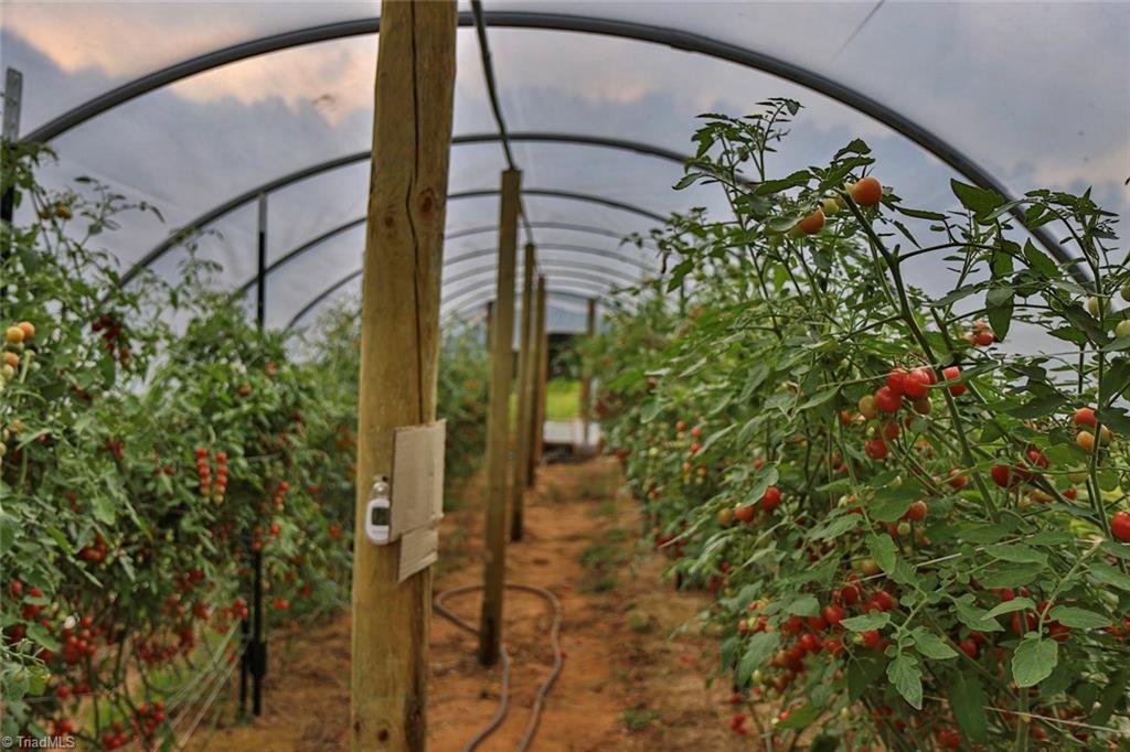 44 Nelson Loop Spencer, VA 24165 - Photo 43 of 50 Hoop houses are perfect for vegetables