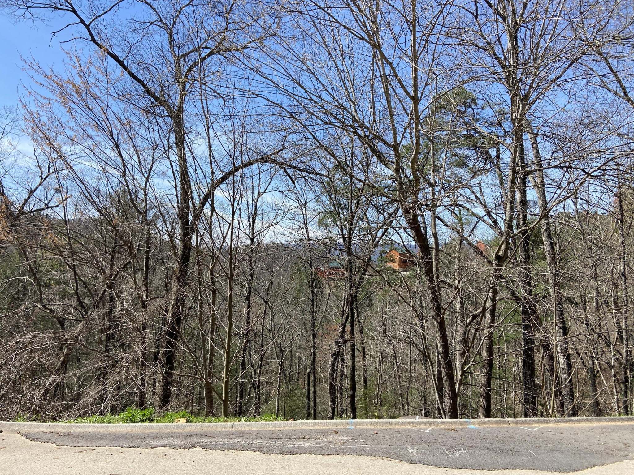 74 Smoky Ridge Way Sevierville, TN 37862 - Photo 1 of 12 a view of a yard and a trees