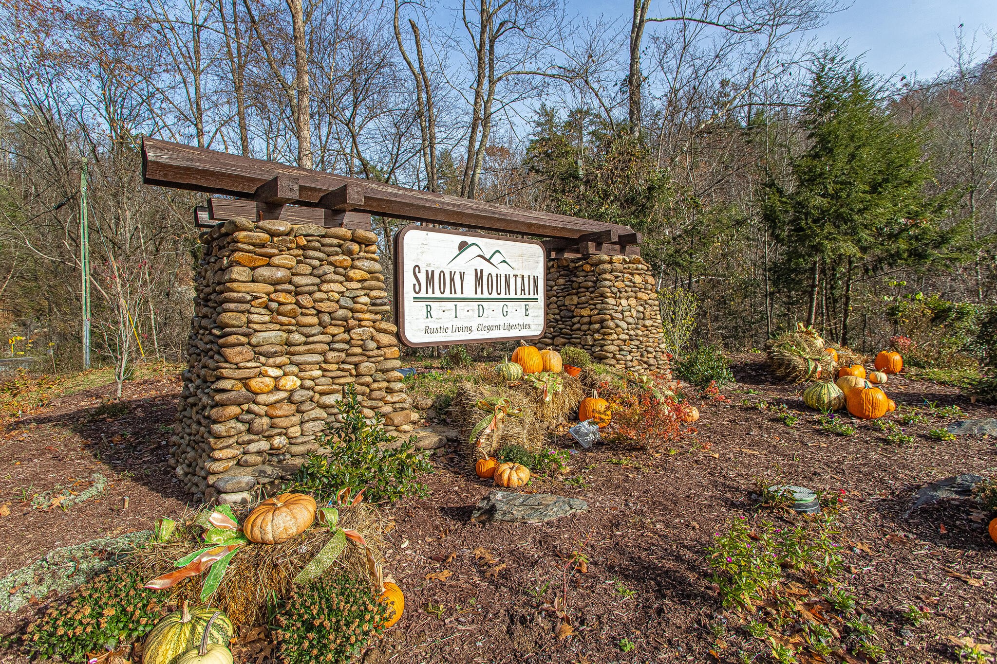 74 Smoky Ridge Way Sevierville, TN 37862 - Photo 4 of 12 a view of a backyard with large trees