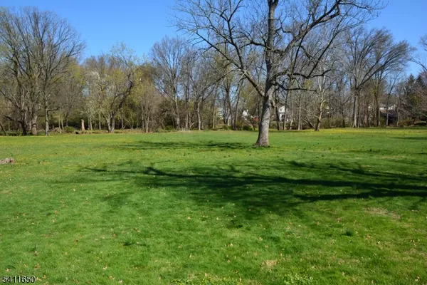 a big yard with lots of green space and trees