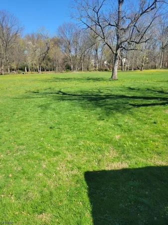 a view of grassy field with trees