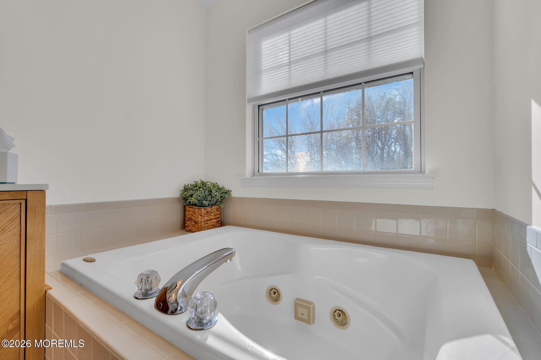 18 Gristmill Road Howell, NJ 07731 - Photo 36 of 66 45-web-or-mls-DSC00141